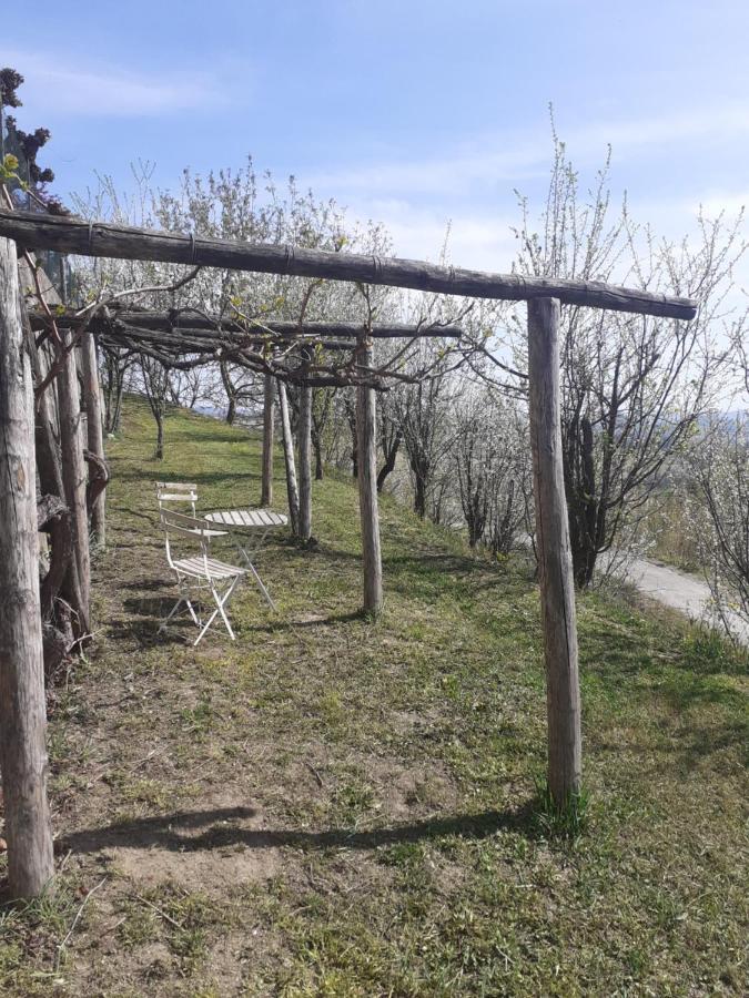 Casa Nebieu In Edificio Indipendente Nel Centro Di Monforte 蒙福特达尔巴 外观 照片
